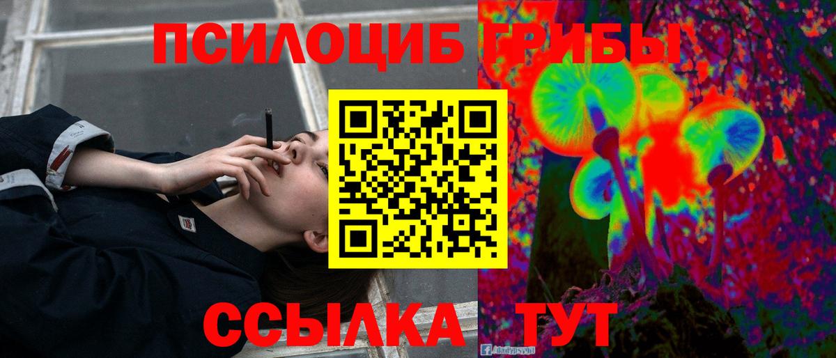 Псилоцибиновые грибы Magic Shrooms Владимир
